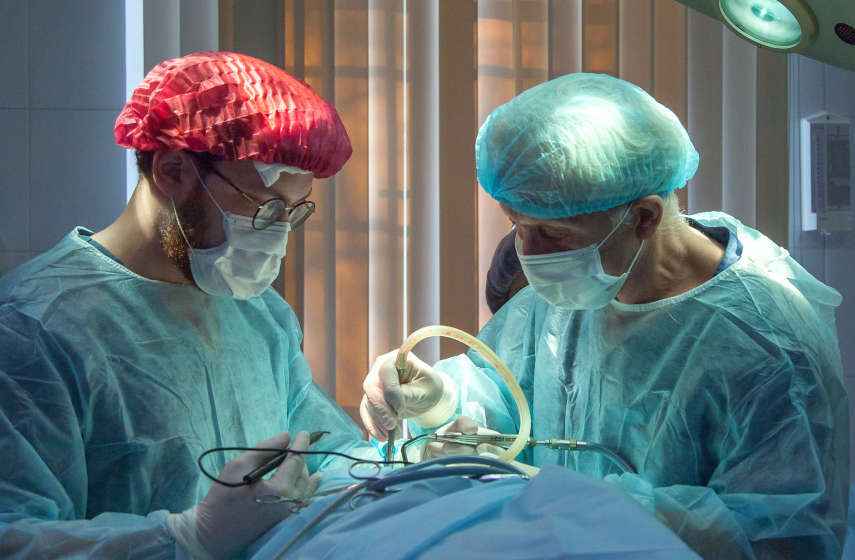 Organ and tissue donation in the spotlight
