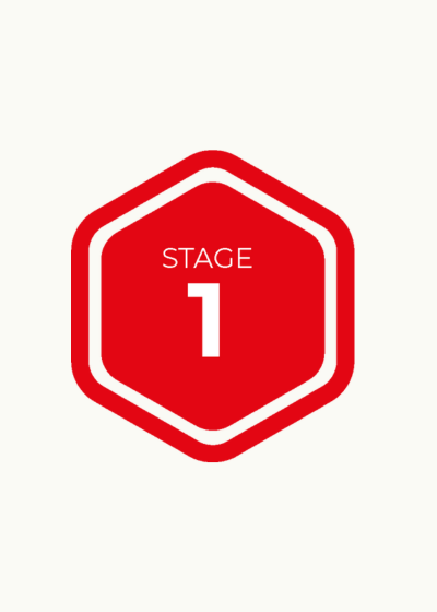 Stage One: Early stage dementia